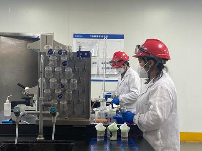 我与专家赴中伟新能源调研纪实 以创新为引擎，加速全球布局下的防腐材料销售新篇章